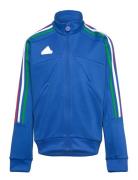 J Np Ttop Adidas Sportswear Blue