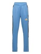 J Np Tiro Pant Adidas Sportswear Blue