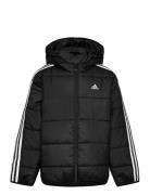 J Ess 3S Pad Adidas Sportswear Black