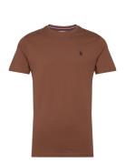 Uspa T-Shirt Arjun Men U.S. Polo Assn. Brown