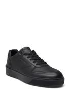 Low Top Lace Up Bskt Lth Calvin Klein Black