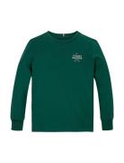 Th Logo Puff Print Reg Tee Ls Tommy Hilfiger Green