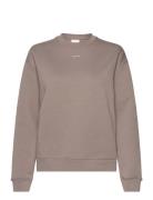 Nano Logo Crew Neck Sweatshirt Calvin Klein Beige