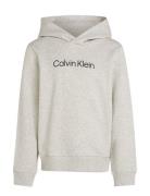 Inst. Logo Reg. Terry Hoodie Calvin Klein Grey