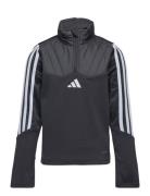 Tiro23Cbwintopy Adidas Performance Black