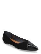 264-Delhi Cuir Brillant/Vel Jonak Paris Black