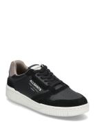 Regan Low Top AllSaints Black