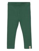 Legging Modal Petit Piao Green