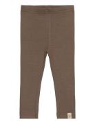 Legging Modal Petit Piao Brown