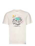 Print Ss Tshirt GANT Cream