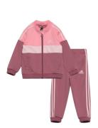 I Tiberio Ts Adidas Sportswear Pink