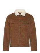 Sherpa Jacket Lee Jeans Brown