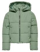 Kmgdolly Life Short Puf Jacket Otw Noos Kids Only Green