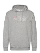 Salitto Hoody FILA Grey