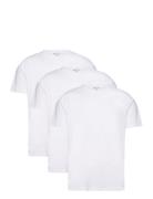 Bless 3 Pack Reiss White