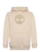 Kennebec River Tree Logo Hoodie Angora Timberland Beige