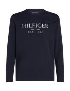 Big Hilfiger Ls Tee Tommy Hilfiger Navy