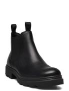 Grainer M ECCO Black