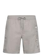 Beachshort Champion Grey