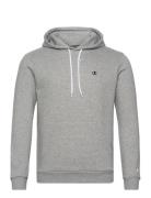 Hooded Sweatshirt Champion Grey