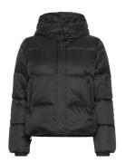 Masella Jkt W SNOOT Black