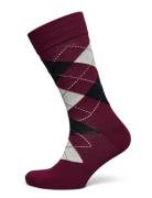 Argyle Socks GANT Burgundy