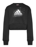 Jg Glm Crew Adidas Sportswear Black