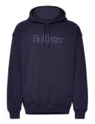 Hco. Guys Sweatshirts Hollister Navy