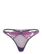 Exaltee - String Etam Purple