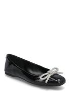 Nilsa Ballerinas Steve Madden Black