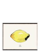 Lemon - 30X40 MADO Patterned