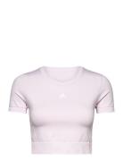 Aeroknit Seamless Fitted Cropped Tee W Adidas Performance Pink