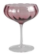 Meadow Cocktail Glass - 6 Pack Specktrum Pink