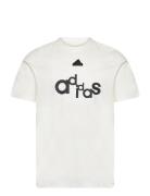 Bl Sj T Q1 Gd Adidas Sportswear White