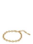 Anker Bracelet Samie Gold