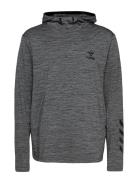 Hmlaston Hoodie Hummel Grey