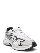 Teveris Nitro Noughties PUMA Grey