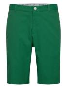 Dealer Short 10" PUMA Golf Green