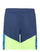 Individualcup Shorts PUMA Blue