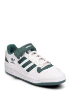 Forum Low Adidas Originals Green