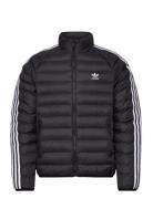 Padpuff Stand Adidas Originals Black