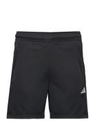 Tr-Es Allsetsho Adidas Performance Black