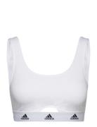 Bustier Adidas Underwear White