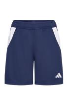 Tiro24 Trshow Adidas Performance Navy