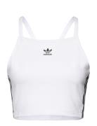 3 S Crop Top Adidas Originals White