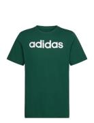 M Lin Sj T Adidas Sportswear Green