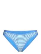 Gingham Scoop Bottom Speedo Blue