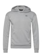 Strength Hoodie 2.0 Reebok Classics Grey