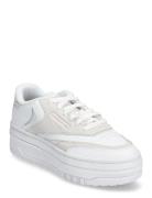 Club C Extra Reebok Classics White