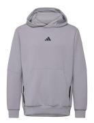 D4T Hoodie Adidas Performance Grey